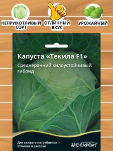 Капуста Текила