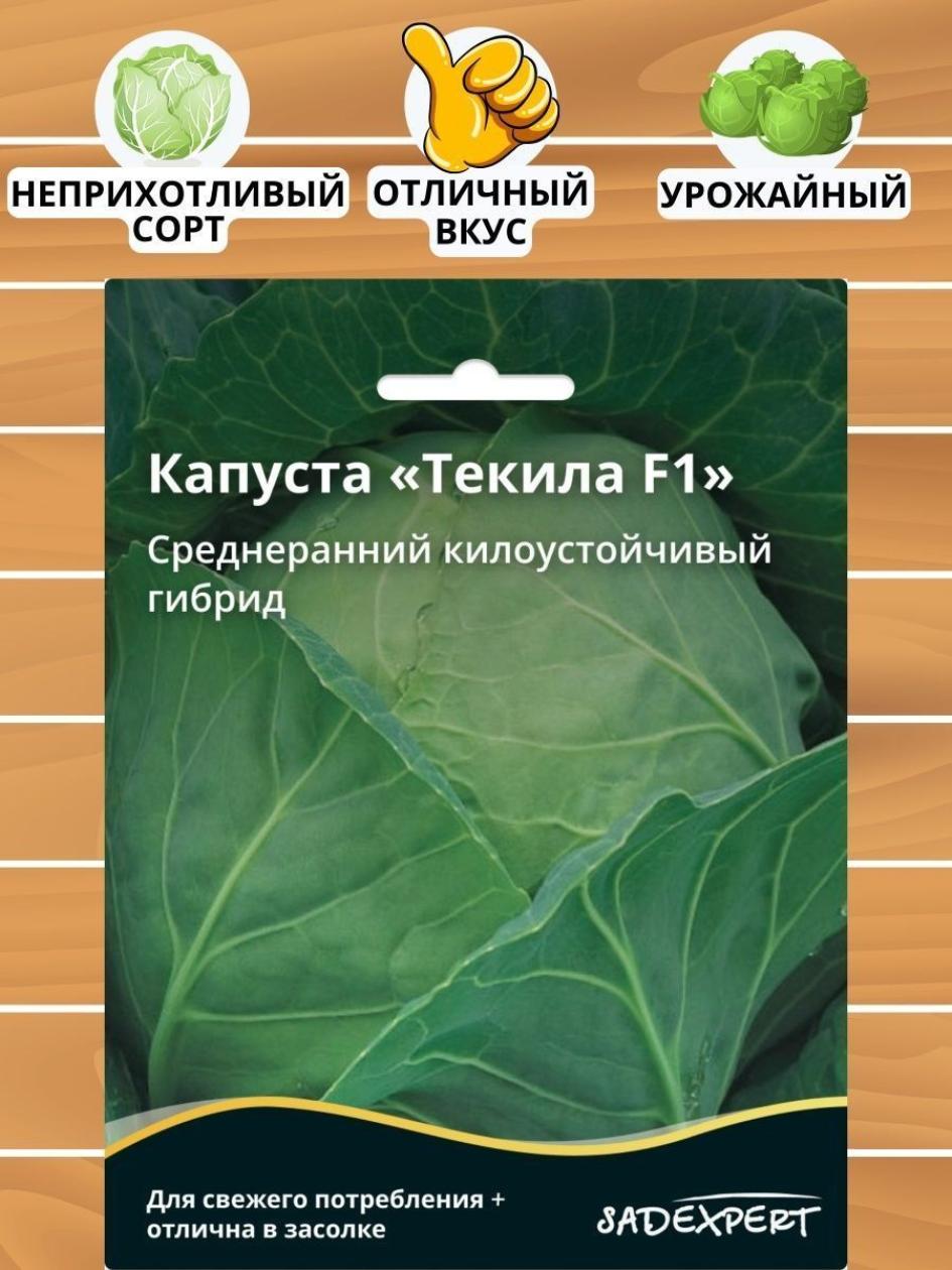 Капуста Текила