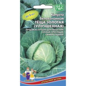 Капуста Теща золотая (улучшенная)