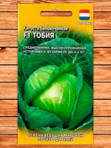 Капуста Тобия