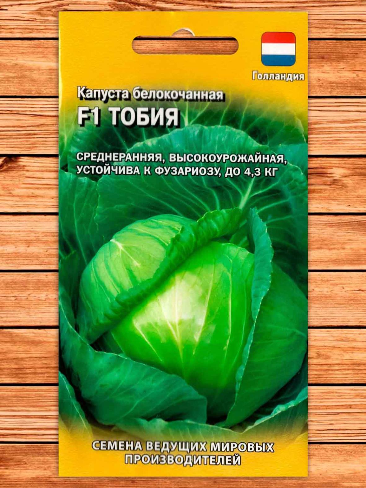Капуста Тобия