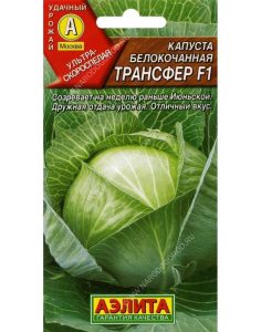Капуста Трансфер