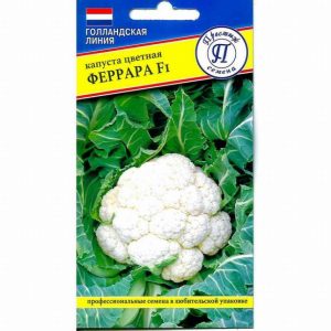 Капуста цветная Феррара