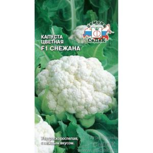 Капуста цветная Снежана