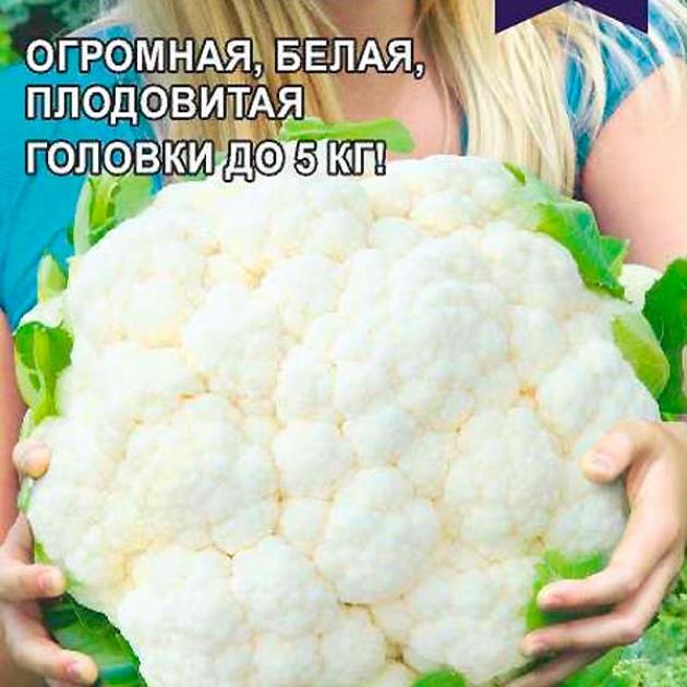 Капуста цветная Снежная Баба