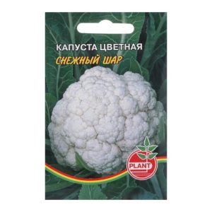 Капуста цветная Снежный шар