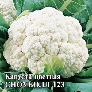 Капуста цветная Сноуболл 123