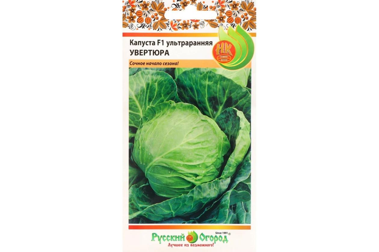 Капуста Увертюра