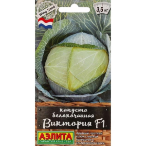 Капуста Виктория