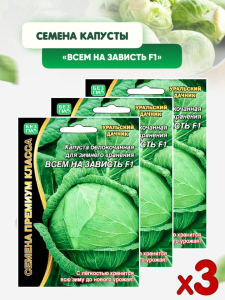 Капуста Всем на зависть