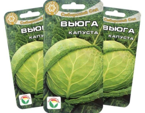 Капуста Вьюга