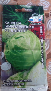 Капуста Взрыв