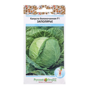 Капуста Заполярье