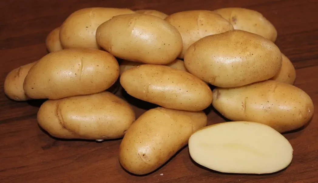 Картофель