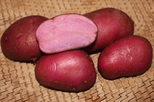 Картофель Эликсир
