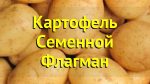 Вопрос про Картофель Флагман