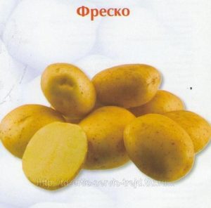 Картофель Фреско
