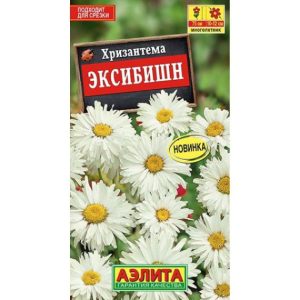 Хризантема Эксибишн