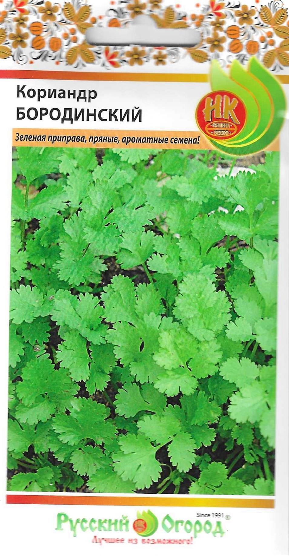 Кинза (кориандр) Бородинский