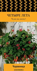Клубника Чаровница