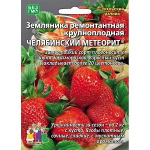 Клубника Челябинский метеорит