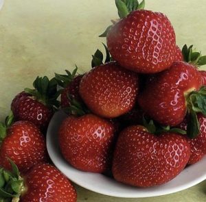 Клубника Дали