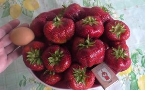Клубника Мадам Муто