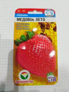 Клубника Медовое лето