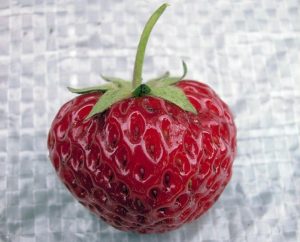 Клубника Мице Нова