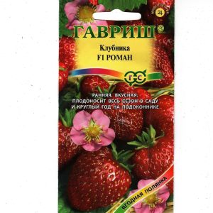 Клубника Роман