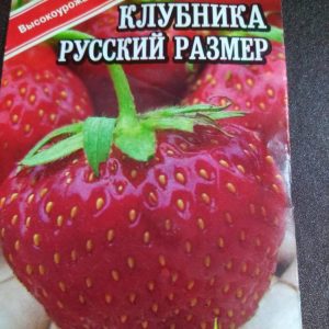 Клубника Русский размер