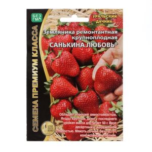Клубника Санькина любовь