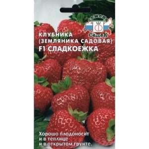 Клубника Сладкоежка