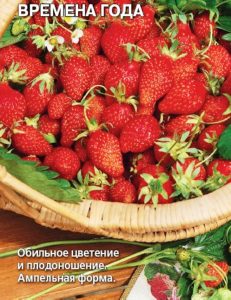 Клубника Времена года