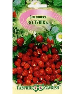 Клубника Золушка
