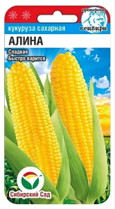 Кукуруза Алина