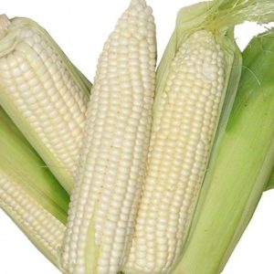 Кукуруза Эскимо