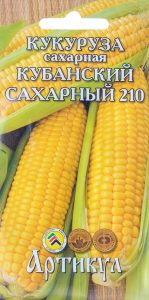 Кукуруза Кубанский сахарный 210