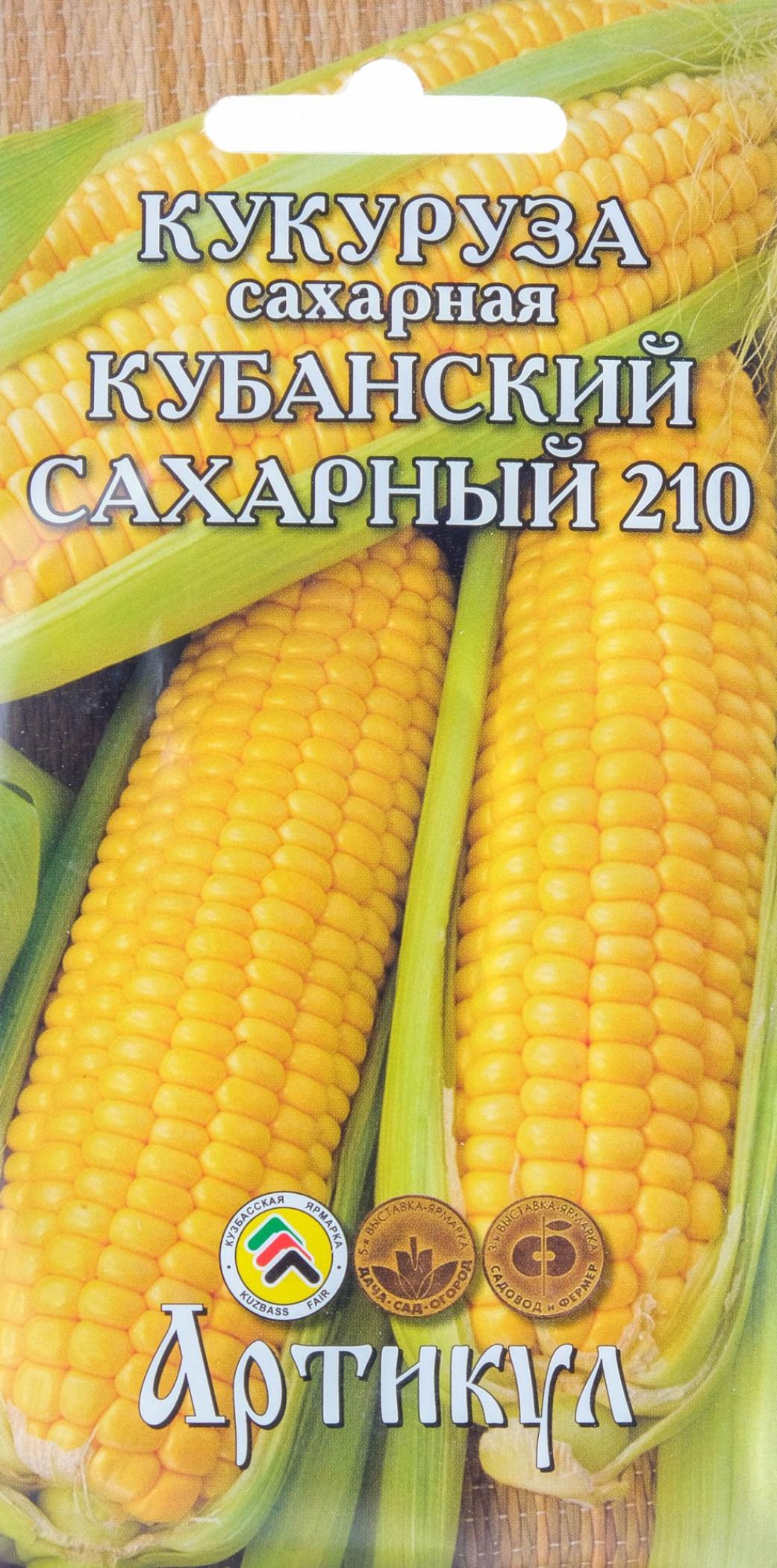 Кукуруза Кубанский сахарный 210