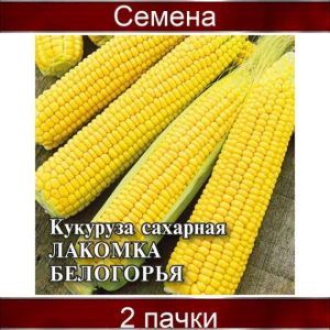 Кукуруза Лакомка Белогорья