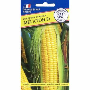Кукуруза Мегатон