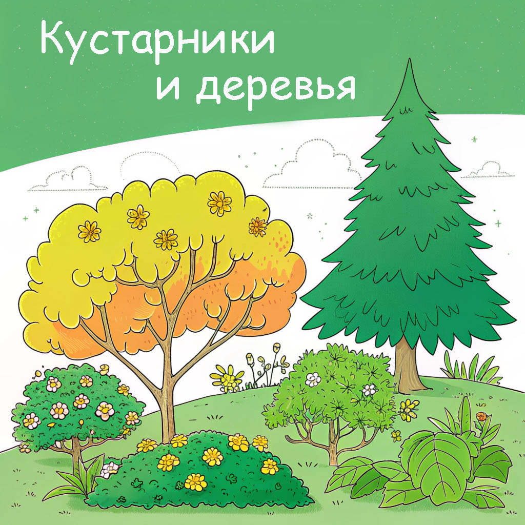 Кустарники и деревья