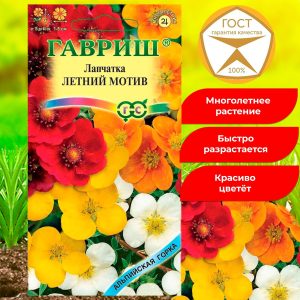 Лапчатка Летний мотив