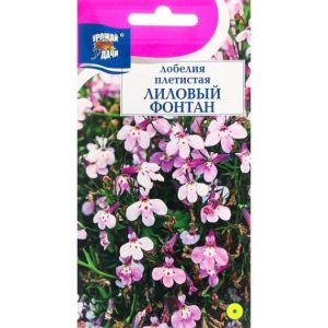 Лобелия Лиловый фонтан