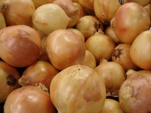 Лук Чиполлино (репчатый)