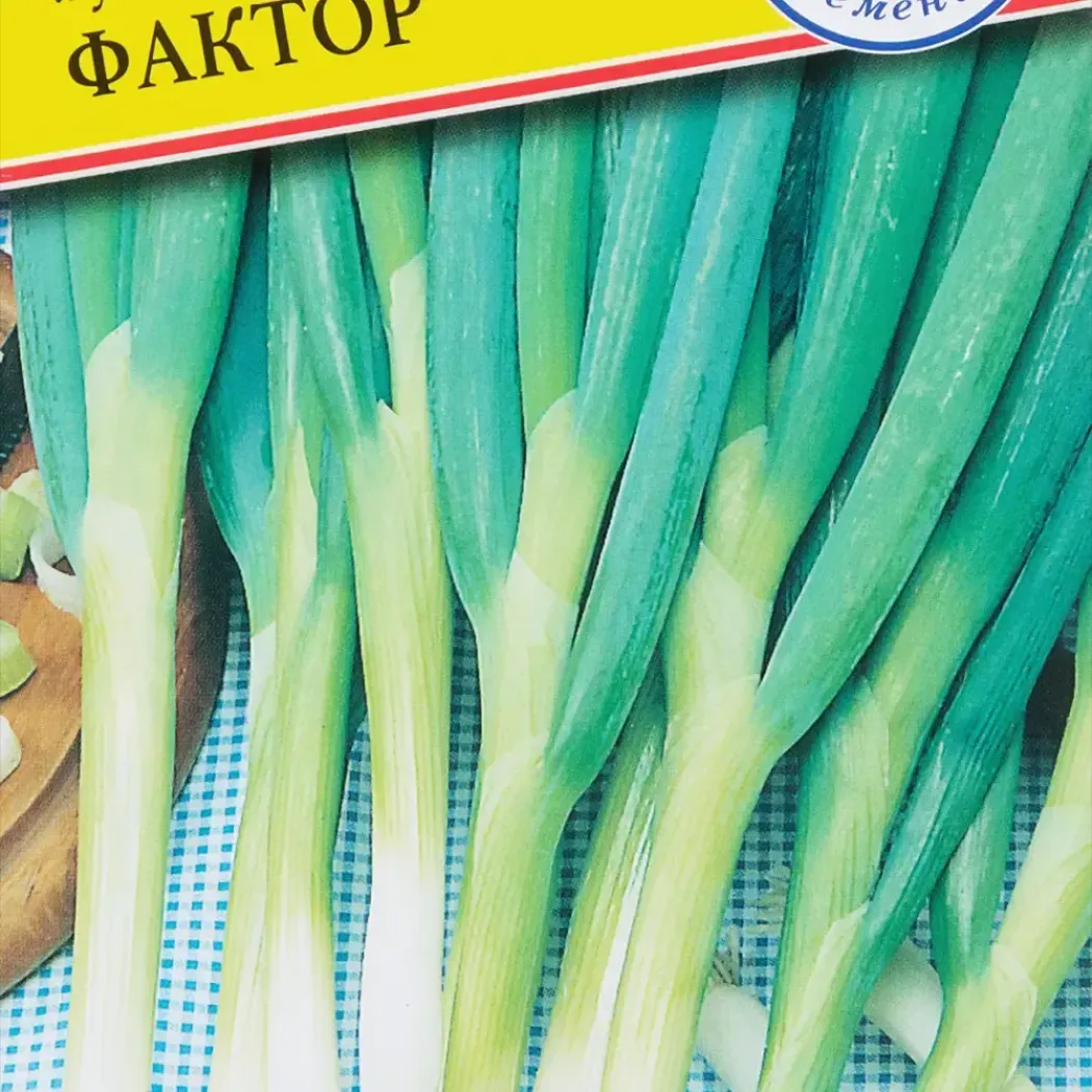 Лук Фактор