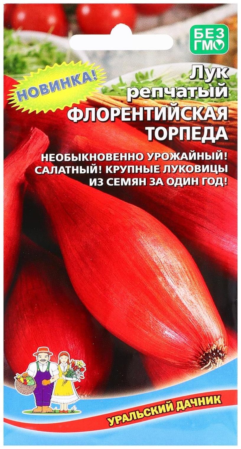 Лук Флорентийская торпеда