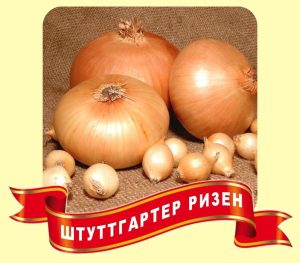 Лук Штуттгартер Ризен