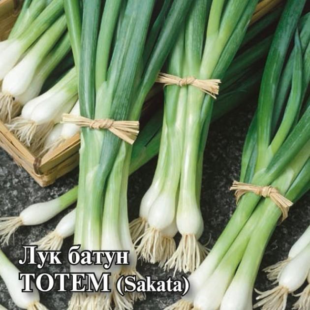 Лук Тотем