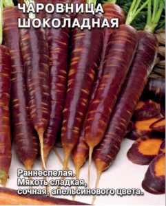 Морковь Чаровница шоколадная